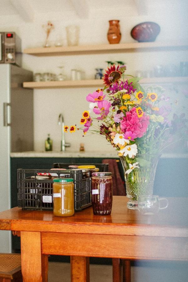 Bed and Breakfast Casaviel Biarritz Exterior foto