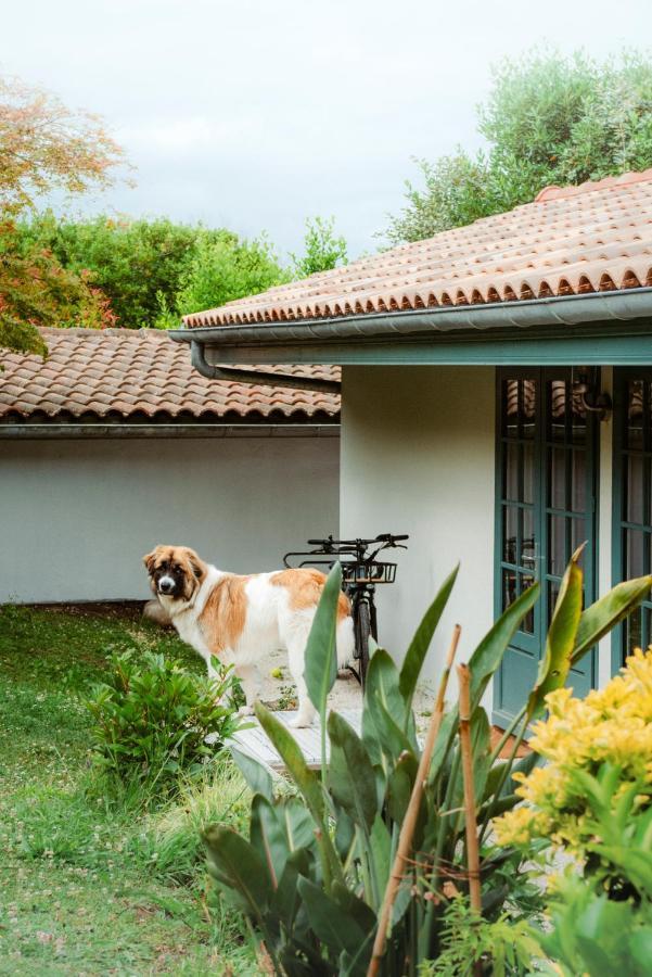 Bed and Breakfast Casaviel Biarritz Exterior foto
